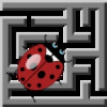 Ladybug Maze
