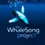 the WhaleSong project