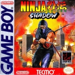 Ninja's Skyscraper Fight