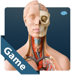 Anatomy Game Anatomicus