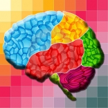 Brain Error