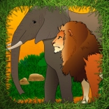 iZoo Manager