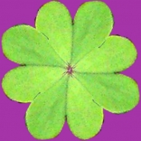Luck Hunt