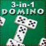 3-in-1 Domino
