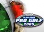 Vijay Singh Pro Golf 2005