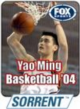 Yao Ming Basketball '04