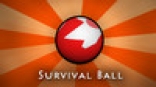 Survival Ball