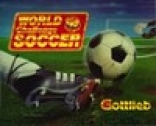 World Challenge Soccer