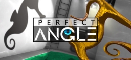 Perfect Angle Illusion Puzzle