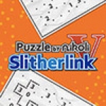 Puzzle by Nikoli V: Slitherlink